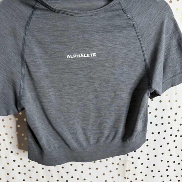 Alphalete Gray Fitted Crop - Picture 4 of 6